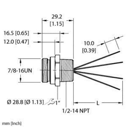 Picture of RSF 46-1M/NPT