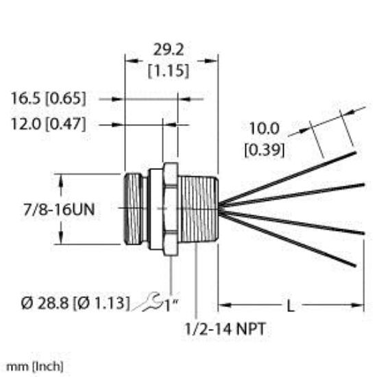 Picture of RSF 46-1M/NPT